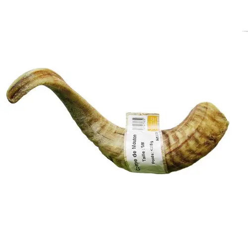 Votre jardin:Corne de mouton pour chien Bubimex – Taille S/M