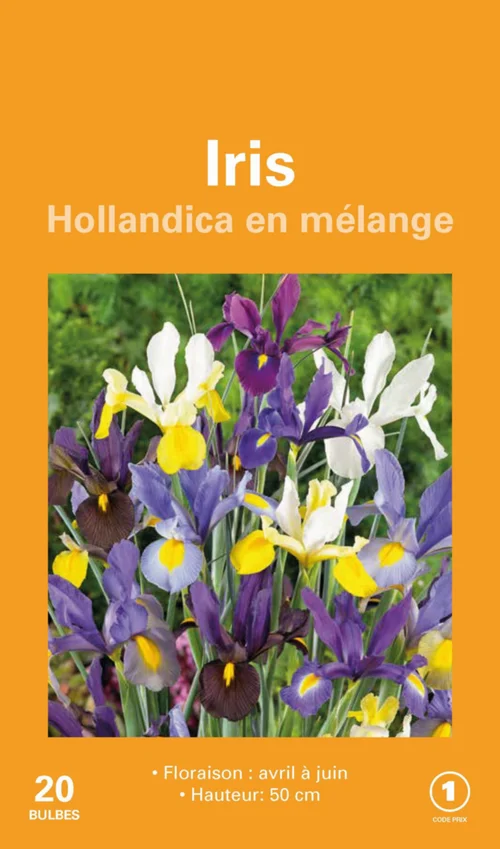 Confort nature:Iris Hollande en mélange botanic® - 20 bulbes
