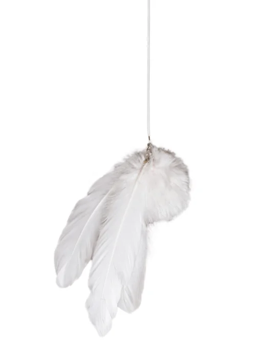 Sélection pour votre jardin:Jouet à plumes pour chat coloris blanc Petrebels Funky Rebels