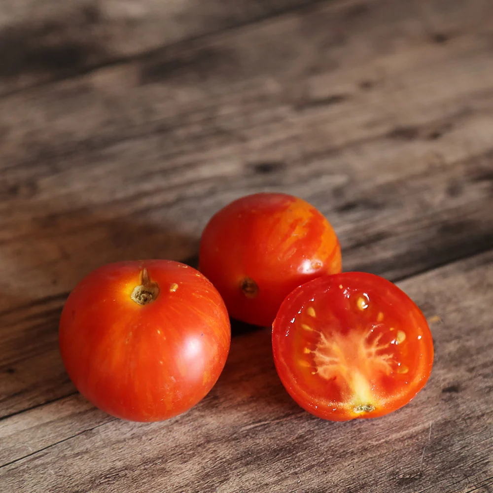 TOMATE TIGRELLA BICOLORE AB