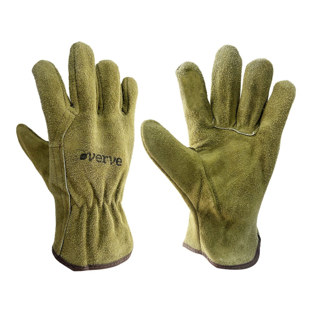 Gants d’outillage jardin en cuir Verve- Taille 8 (M) – Réf. WPDIGISZI5986581051