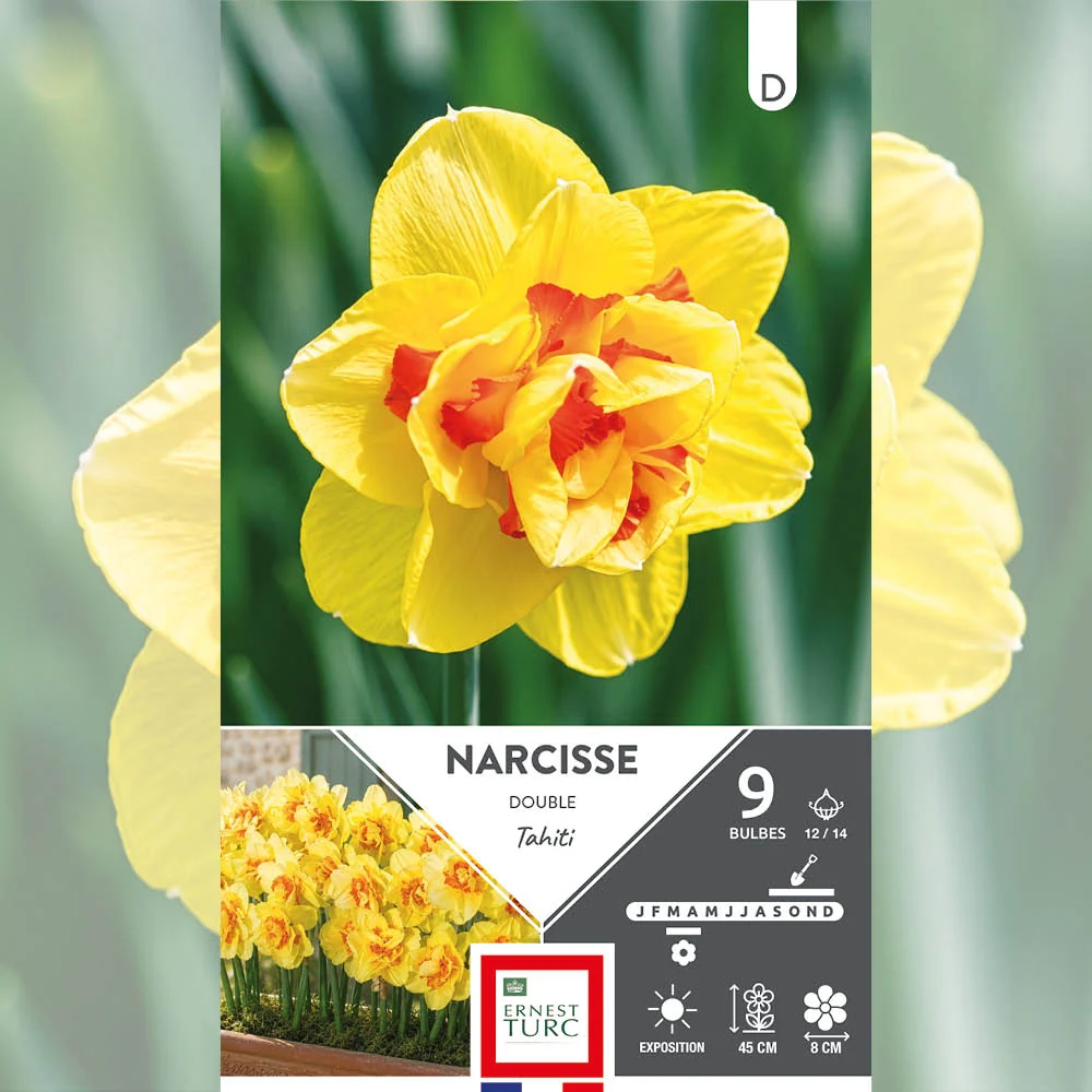 NARCISSE DOUBLE TAHITI
