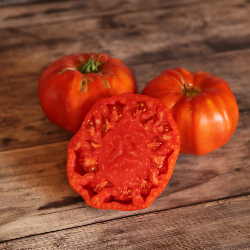 TOMATE COUILLES DE TAUREAU AB