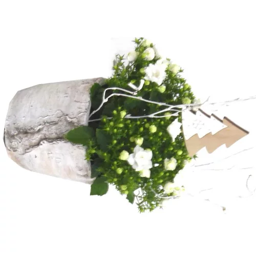 Pour vos besoins extérieurs:Campanula - Pot déco béton