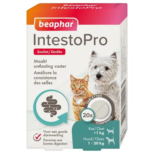 Inspiration jardin:Aliment complémentaire consistance des selles pour chat et petit chien Beaphar IntestoPro - x 20 comprimés