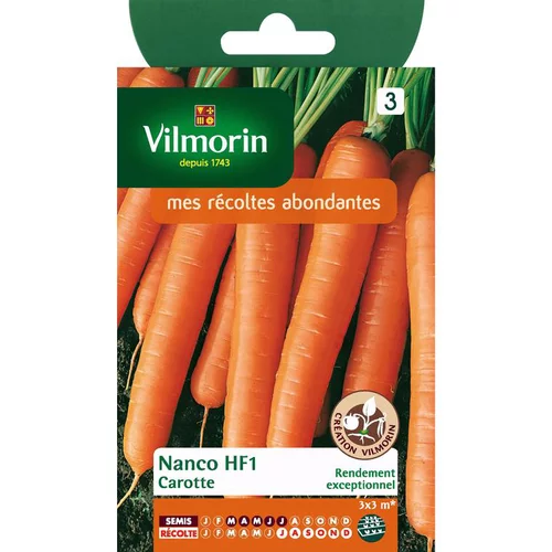 À avoir pour l’extérieur：Graines de carotte nanco HF1 Vilmorin - graines à semer