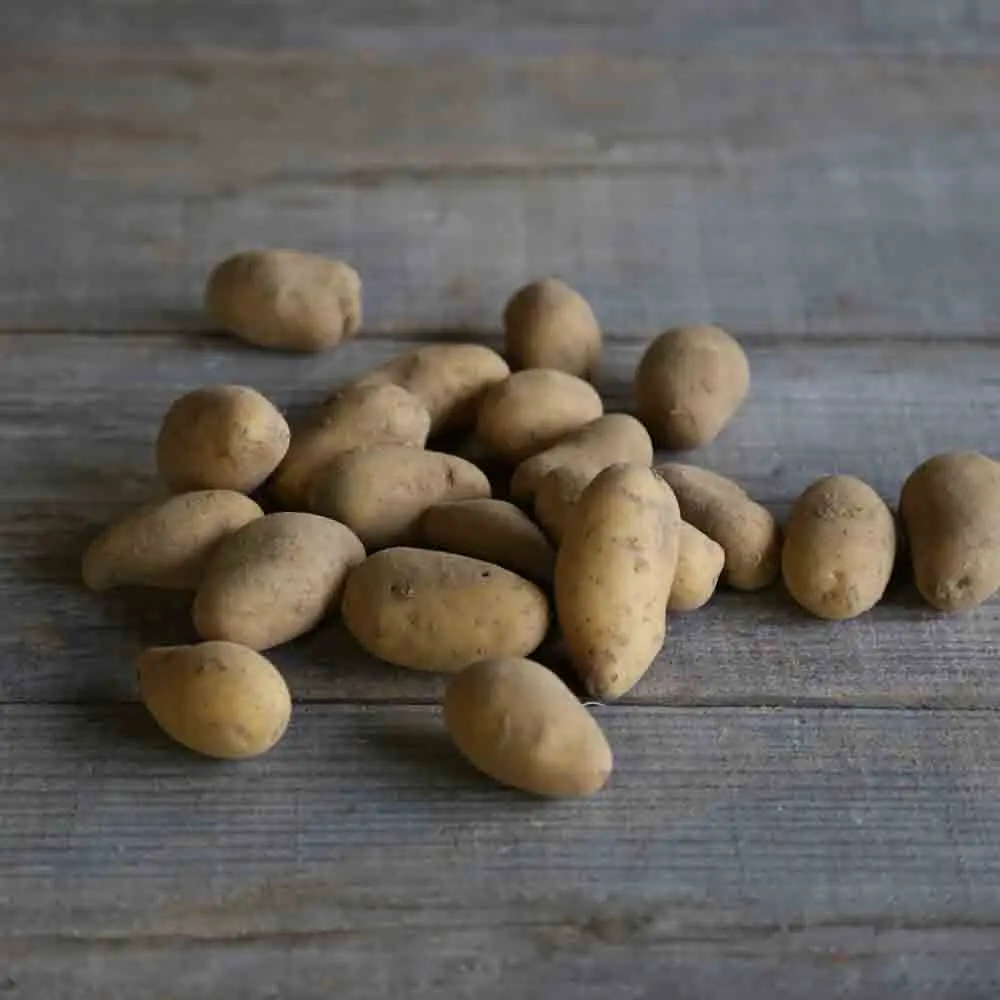 POMME DE TERRE MINETTE AB