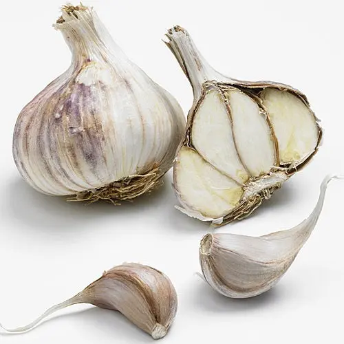 AIL VIOLET VALDOUR NT