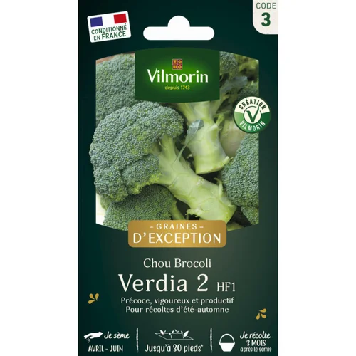 Extérieur moderne:Sachet de semences potagères de graines de chou Brocoli Verdia 2 HF1 Graines d'Exception