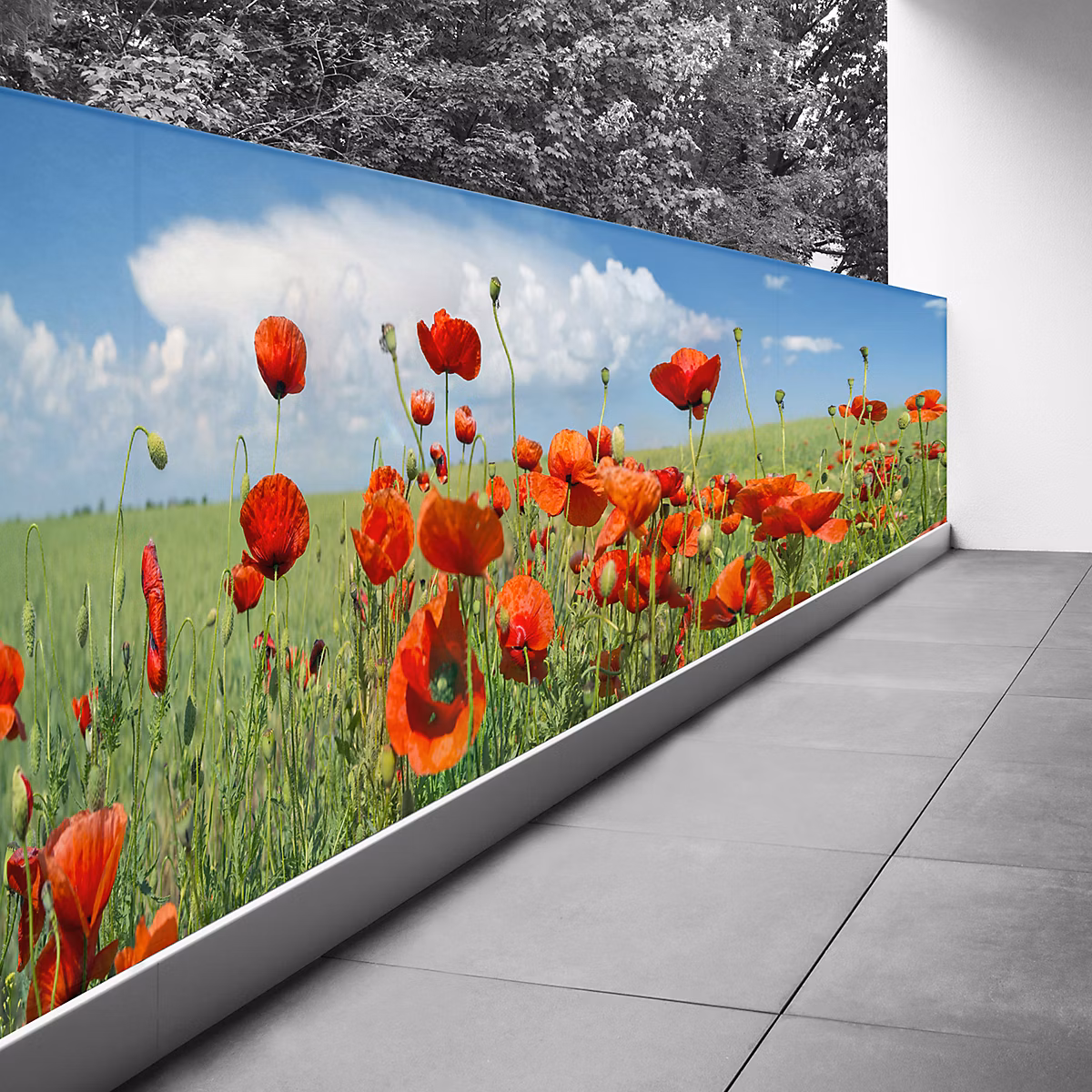 Brise vue Trompe l'oeil – 100 × 277 cm, Coquelicots 3617689699035