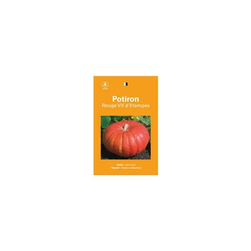 Ambiance jardin：Graines de potiron rouge vif d'étampes sélection premier prix - graines à semer