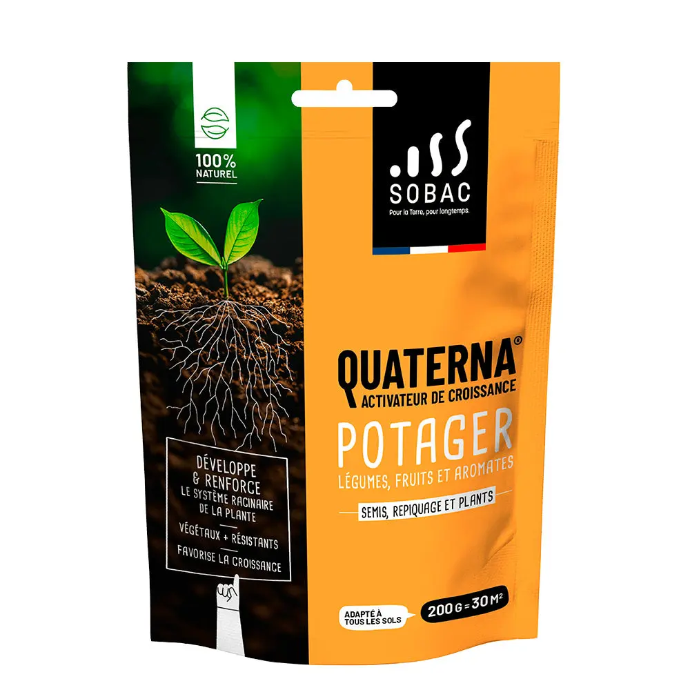 QUATERNA - Potager