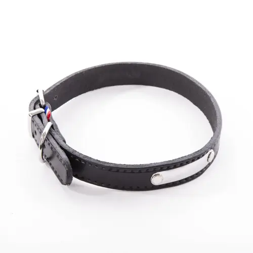 Pour valoriser votre jardin:Collier pour chien en cuir coloris noir Martin Sellier Rive - Taille 20/50