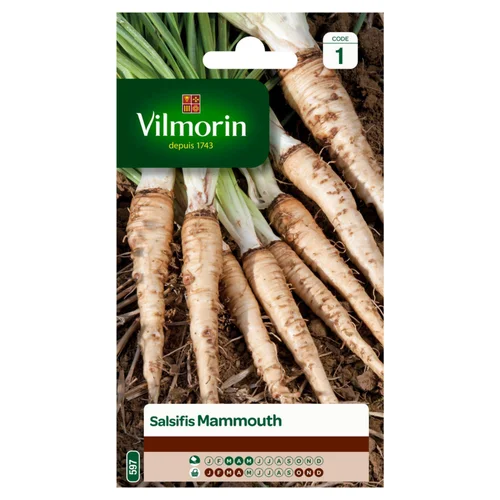 Jardin & maison:Salsifis Mammouth Vilmorin - graines à semer