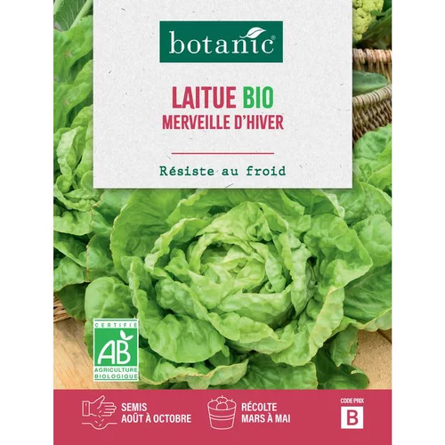 Le compagnon de vos extérieurs:Graines de laitue merveille d’hiver botanic® - graines à semer