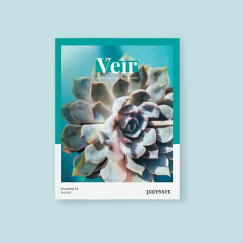 VEIR MAGAZINE - n°14 Paresser