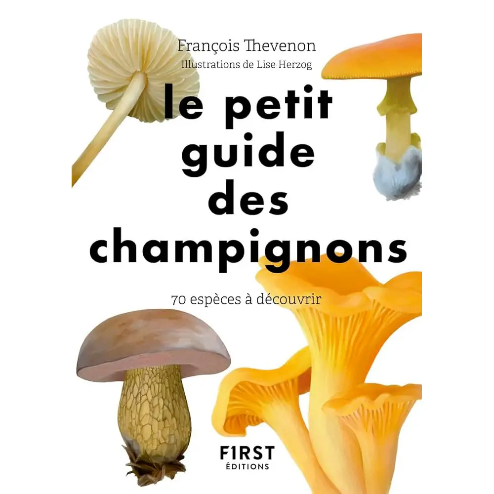 PETIT GUIDE DES CHAMPIGNONS