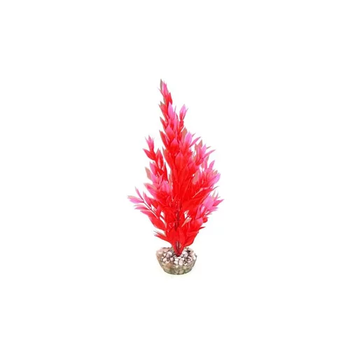Malin au jardin:Cycared rose en plastique 28 cm